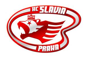 Hokejisté pražeské Slavie si přijeli zpestřit letní přípravu do Břízek